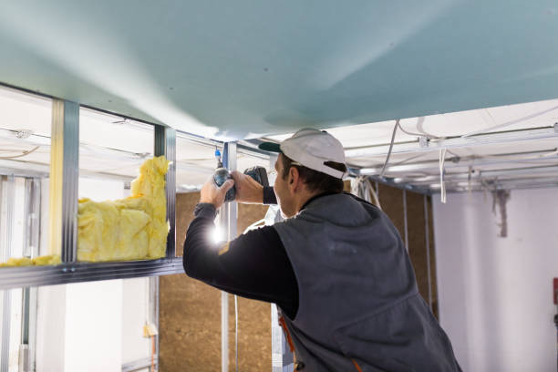 Types of Insulation We Offer in Coalinga, CA