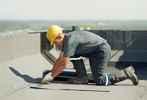 Best Cellulose Insulation in Coalinga, CA