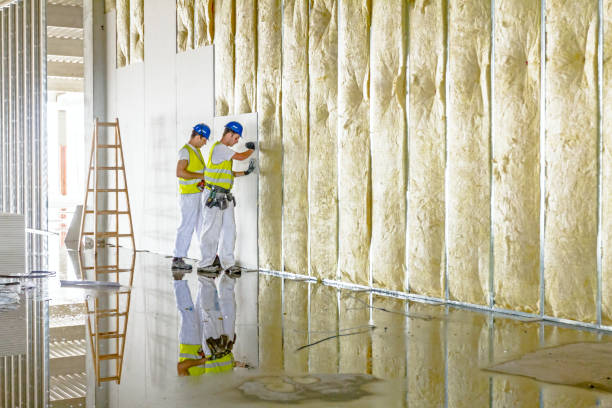 Best Spray Foam Insulation in Coalinga, CA
